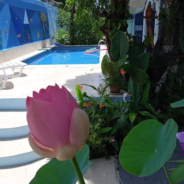Porto Bahia Hotel Porto Seguro Eksteriør bilde